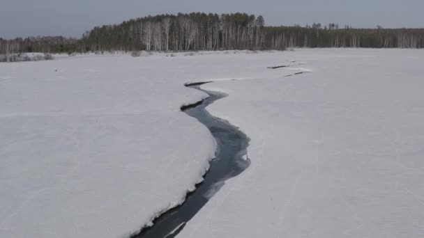 Im Winter über einem mit Wald bedeckten Sumpf fliegen. Kleiner Fluss im Schnee. 4K — Stockvideo