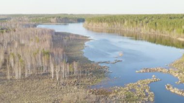 Dolly zoom. Rusya, Urallar. Ormanla çevrili sulak alan göleti. Gün batımı zamanı