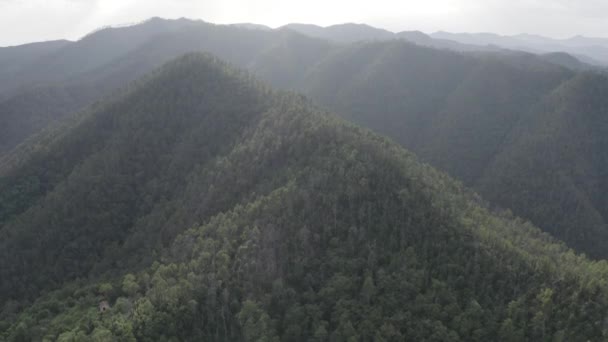 İtalya. Orman kaplı dağlar. Liguria Bölgesi 'ndeki Pignone bölgesi, La Spezia ili' ne bağlı. 4K — Stok video