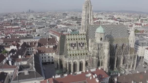 Wiedeń, Austria. Katedra św. Szczepana (Niemcy: Stephansdom). Katedra katolicka - narodowy symbol Austrii. 4K — Wideo stockowe