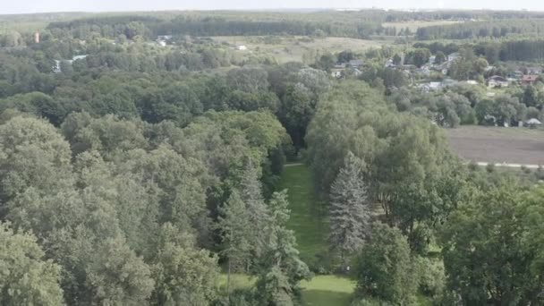 Yasnaya Polyana, Rusya. Lev Nikolaevich Tolstoy Yasnaya Polyana 'da doğdu ve hayatının çoğunu orada geçirdi. 4K — Stok video