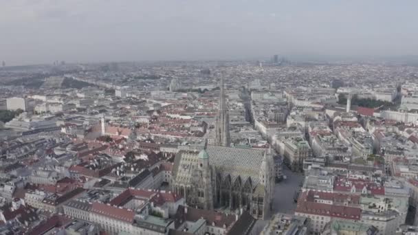 Viena, Austria. Catedral de San Esteban (Alemania: Stephansdom). Catedral Católica - el símbolo nacional de Austria. 4K — Vídeos de Stock