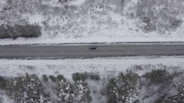 Mavi bir araba kış asfalt yolu boyunca gidiyor. Yol elektrik hatları boyunca uzanıyor. Ağaçlarda ve yol kenarlarında kar. 4K