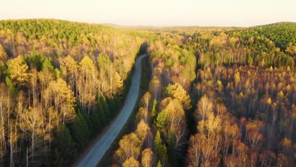 Droga asfaltowa w lesie. Latanie nad jesiennym lasem mieszanym o zachodzie słońca. Okolice Jekaterynburga. Ural, Rosja. 4K — Wideo stockowe