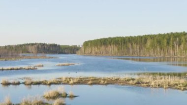 Dolly zoom. Rusya, Urallar. Suyun üzerinde alçaktan uçuyor, kuşlarla dolu bir kaynak göleti. Gün batımı zamanı