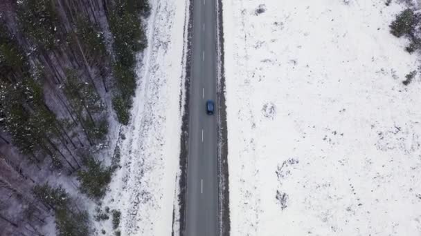 Niebieski samochód jedzie zimową asfaltową drogą. Droga biegnie wzdłuż linii energetycznych. Śnieg na drzewach i poboczach dróg. 4K — Wideo stockowe