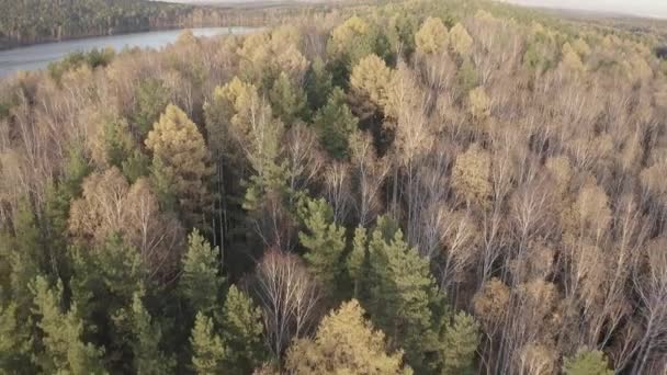 白沙奈湖（桑迪） 。秋天落日时分在混合的森林上空飞行.叶卡捷琳堡的周围环境乌拉尔，俄罗斯4K — 图库视频影像