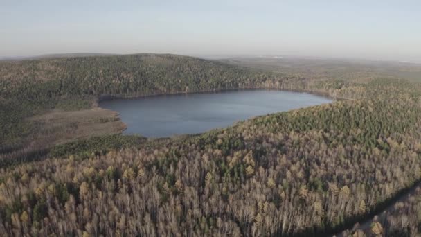 Yekaterinburg, Rusland. Lake Peschanoye (Sandy) is rechthoekig van vorm, omgeven door bos in de herfst. Zonsondergang tijd. 4K — Stockvideo