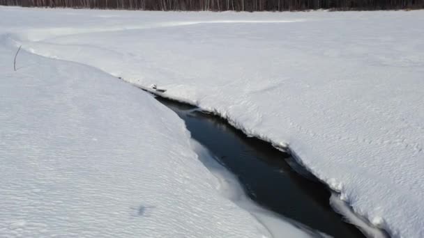 Flyger på vintern över ett träsk täckt med skog. Liten flod i snön. 4K — Stockvideo