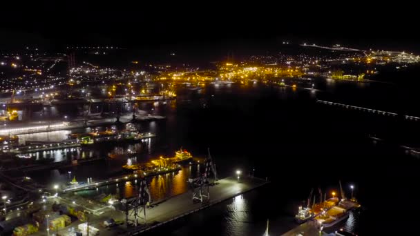 ロシアのノヴォロシスク。ノヴォロシスクの港だ。夜の街の灯。黒海のツェメスカヤ湾。4K — ストック動画