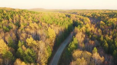 Dolly zoom. Ormandaki asfalt yolda. Günbatımında karışık ormanın üzerinde uçmak. Yekaterinburg çevresi. Ural, Rusya