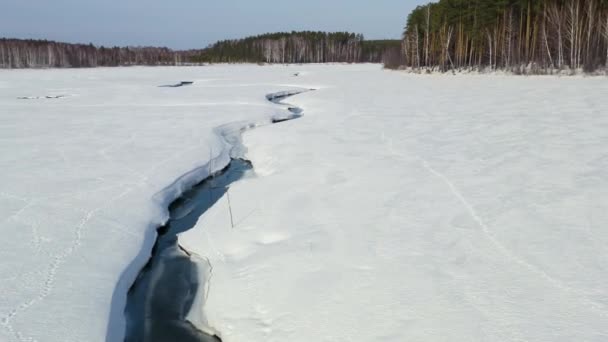 Πετώντας το χειμώνα πάνω από ένα βάλτο καλυμμένο με δάσος. Μικρό ποτάμι στο χιόνι. 4K — Αρχείο Βίντεο