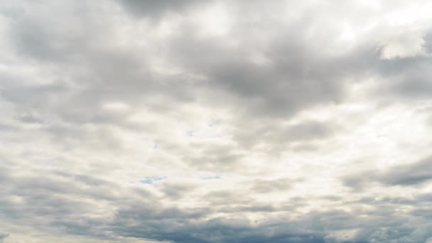 Yaroslavl, Ρωσία. Πάρκο Στρέλκα και ποταμός Βόλγα. Σύννεφο καιρό. Πάνινγκ. 4K — Αρχείο Βίντεο