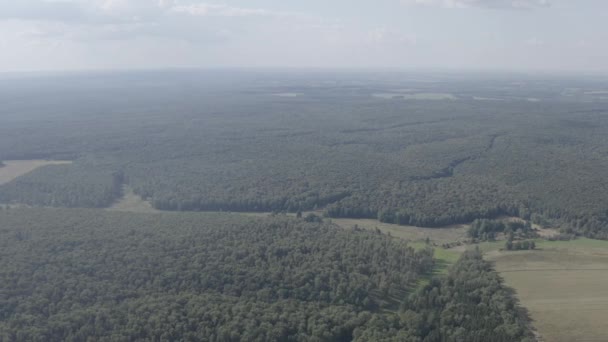 Yasnaya Polyana, Rusia. Lev Nikolaevich Tolstoi nació y vivió la mayor parte de su vida en Yasnaya Polyana. 4K — Vídeo de stock