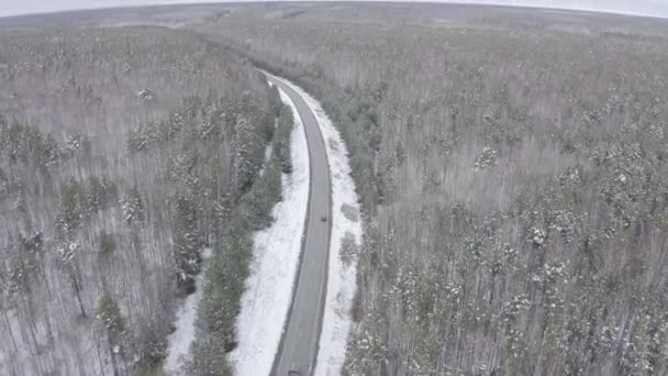 Um carro azul anda ao longo de uma estrada de asfalto de inverno na floresta. Neve nas árvores e nas estradas. 4K — Vídeo de Stock