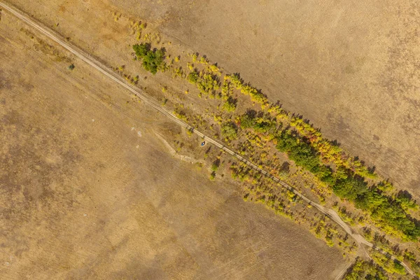 Rusland Vuile Weg Steppe Weinig Bomen Struiken Zicht Vanuit Lucht — Stockfoto