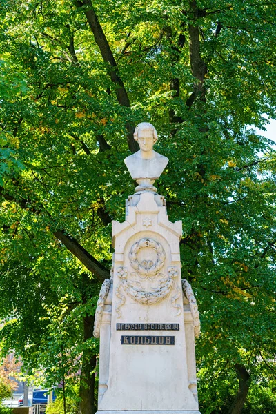 Voronezh Rússia Agosto 2020 Monumento Koltsov Koltsovsky Square Parque Cultura — Fotografia de Stock