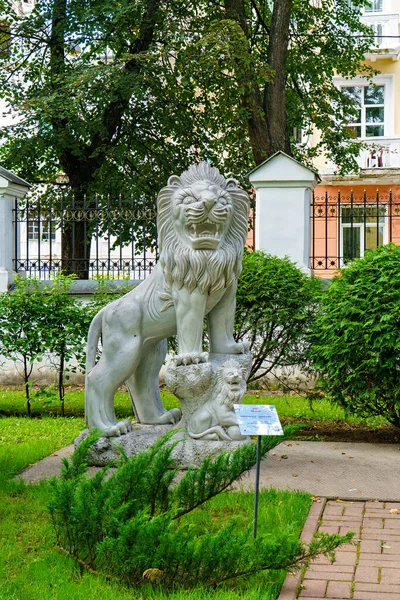 Yaroslavl Rusia Agosto 2020 Jardín Del Gobernador Leones Con Cachorros — Foto de Stock