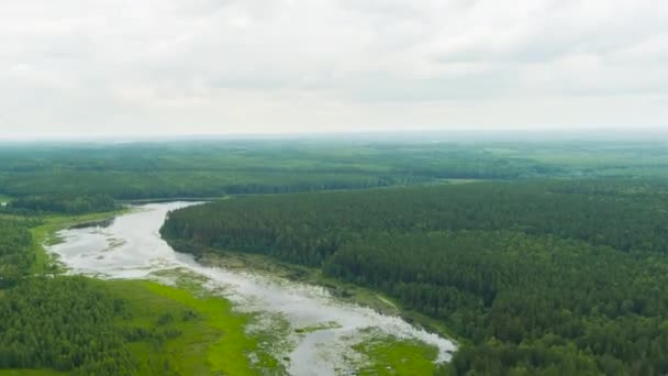 Rusya, Ural. Tarlalar ve ormanlar üzerinde kalkış. Bataklık göleti. Boşlukları olan bulutlar. 4K — Stok video