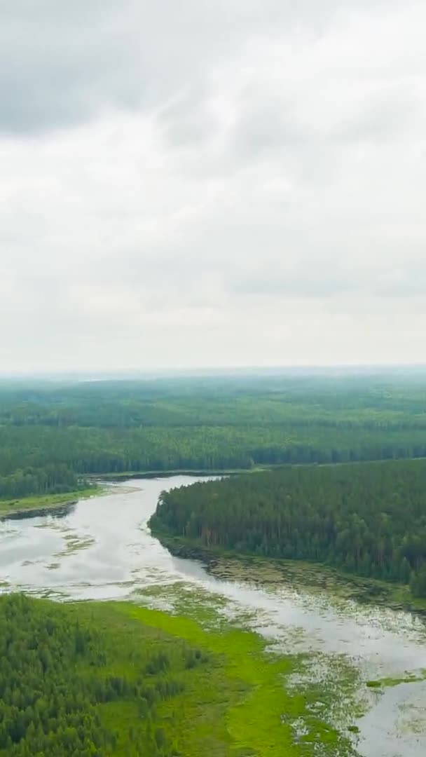 ロシア、ウラル。畑や森林を奪う。沼を泳いでいる。隙間のある雲 — ストック動画
