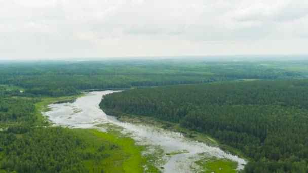 Rusko, Ural. Vzlet nad poli a lesy. Swampy Pond. Mraky s mezerami. 4K — Stock video