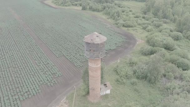 Rusia, Ural. Volando sobre los campos. Filas de papas en crecimiento. Vieja torre de agua de ladrillo rojo. 4K — Vídeo de stock