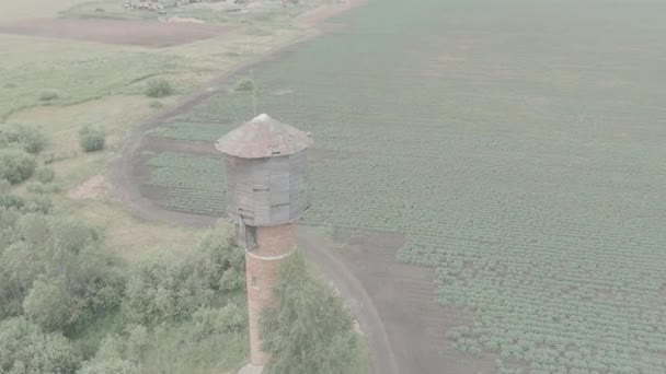 Росія, Урал. Політ над полями. Ряди вирощування картоплі. Стара червона цегляна вежа. 4K — стокове відео