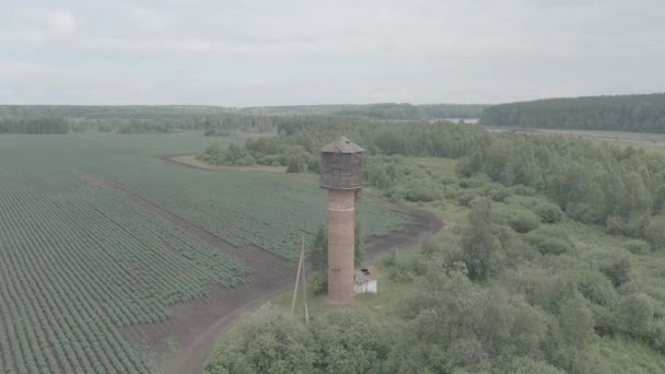 Russia, Ural. Flying over the fields. Rows of growing potatoes. Old red brick water tower. 4K — Stock Video