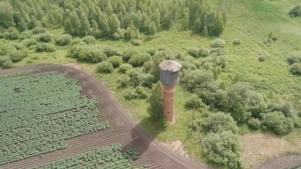 Rusya, Ural. Tarlaların üzerinde uçuyor. Patates yetiştirme sıraları. Eski kırmızı tuğlalı su kulesi. 4K — Stok video