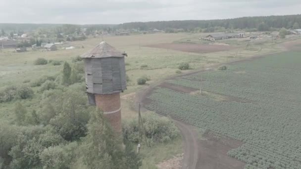 Rusland, Oeral. Over de velden vliegen. Rijen aardappelen verbouwen. Oude rode bakstenen watertoren. 4K — Stockvideo