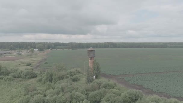 Rusko, Ural. Letím nad poli. Řady pěstovaných brambor. Stará věž z červených cihel. 4K — Stock video