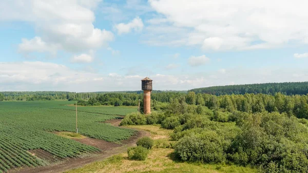 Rusia Ural Volando Sobre Los Campos Filas Papas Crecimiento Antigua — Foto de Stock