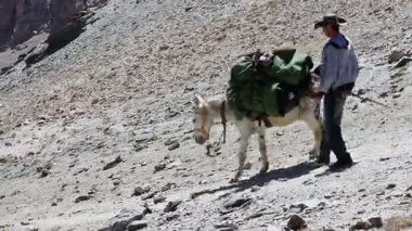 Eşekler Tacikistan Dağları