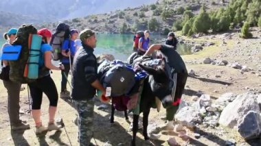 İnsanlar sırt çantaları eşek üzerinde yükleme