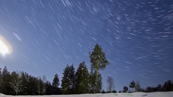 Noche invierno paisaje — Vídeos de Stock