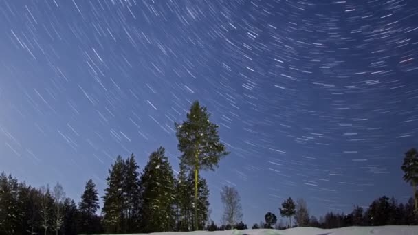 Noite paisagem inverno — Vídeo de Stock