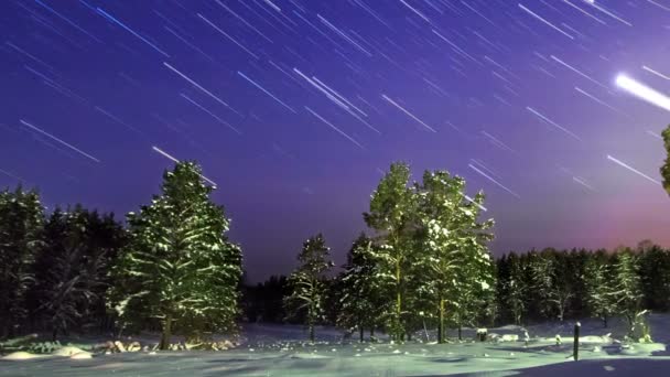 Estrellas sobre el bosque de invierno . — Vídeo de stock