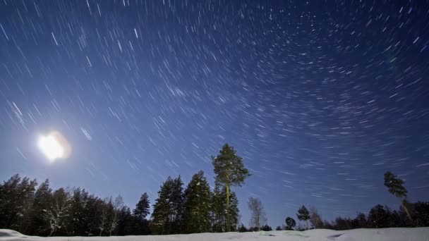 Notte paesaggio invernale — Video Stock