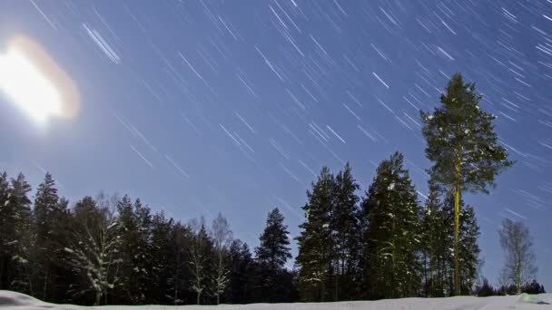 Gece kış manzarası — Stok video