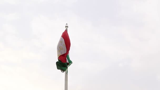 Tadzjikistan flaggan på flaggstången. — Stockvideo