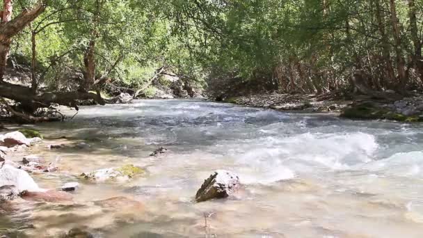 Rápido rio de montanha . — Vídeo de Stock