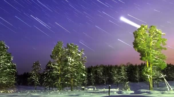 Estrellas sobre el bosque de invierno . — Vídeos de Stock