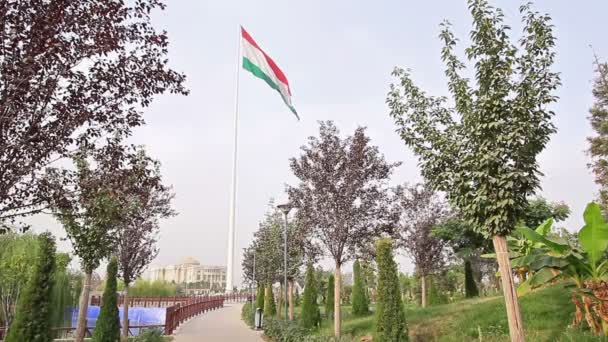 Vlag van Tadzjikistan vlag in park. — Stockvideo