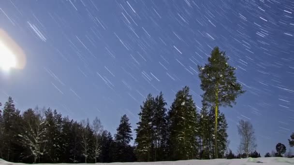 Noche invierno paisaje — Vídeos de Stock