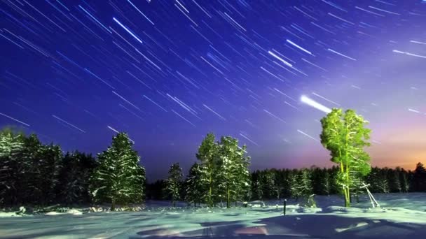 Estrelas sobre a floresta de inverno . — Vídeo de Stock