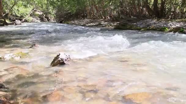 Rápido rio de montanha . — Vídeo de Stock
