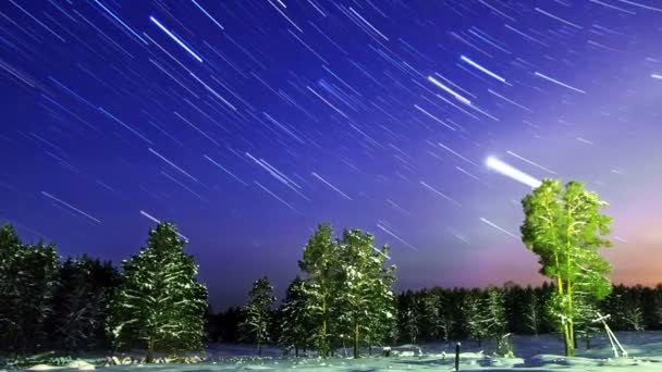 Estrelas sobre a floresta de inverno . — Vídeo de Stock