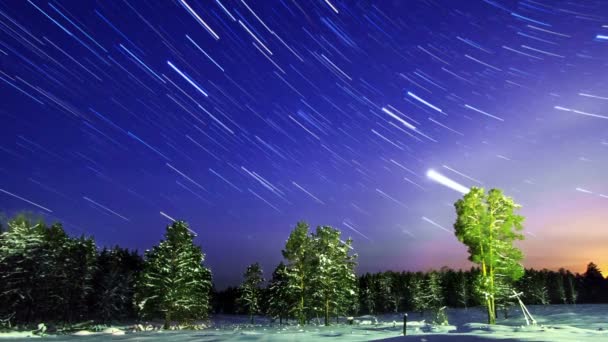 明星在冬季的森林. — 图库视频影像