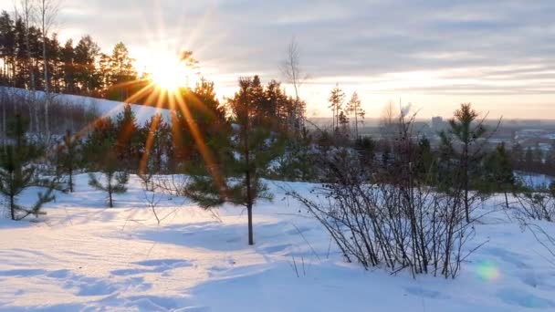 Sole al tramonto in inverno. Telecamera si muove — Video Stock