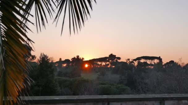 Árvores ao pôr-do-sol. Roma — Vídeo de Stock